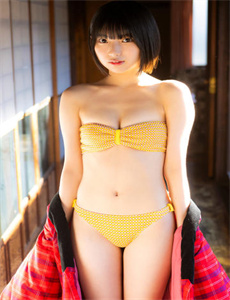 雏菊